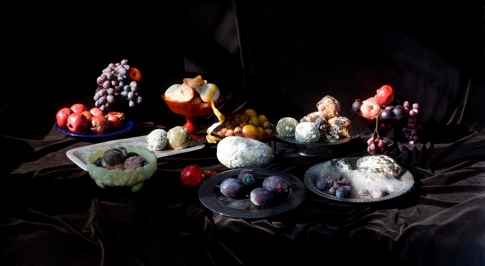 Jeanne Dunning, Still Life with Pomegranates, 2010, photographie. © Jeanne Dunning, collection Frac LR.