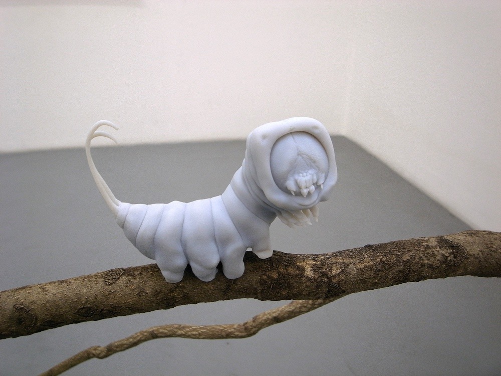 Suspens, Hugues Reip, 2009, stéréolithographie, branche, câble, 13,5 x 10 x 6 cm, Photo Marc Domage, Collection FRAC Languedoc-Roussillon