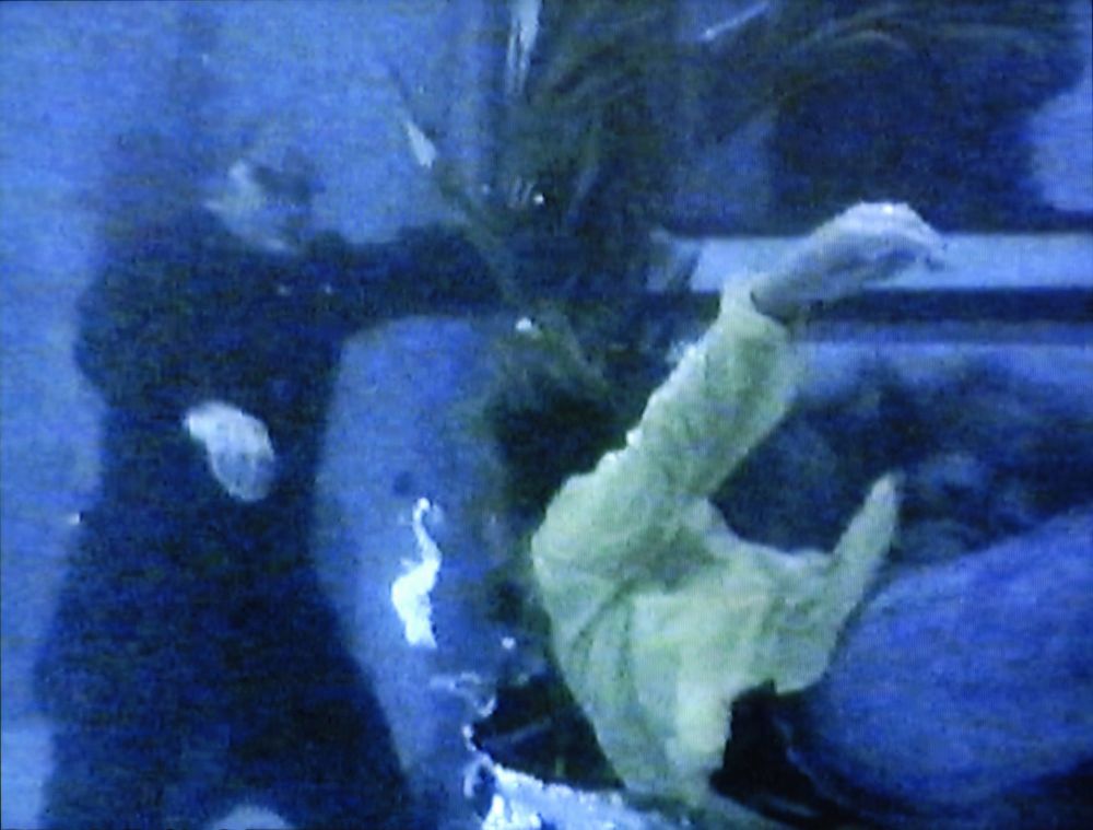 Mathieu Kleyebe Abonnenc, D'ici, 2003-2006, trilogie vidéo (Le Passage du milieu, 9 min 40 sec, 2006 · Cayenne, 10 min, 2005 · Le Bord du monde, 11 min, 2003). Collection Frac Languedoc-Roussillon