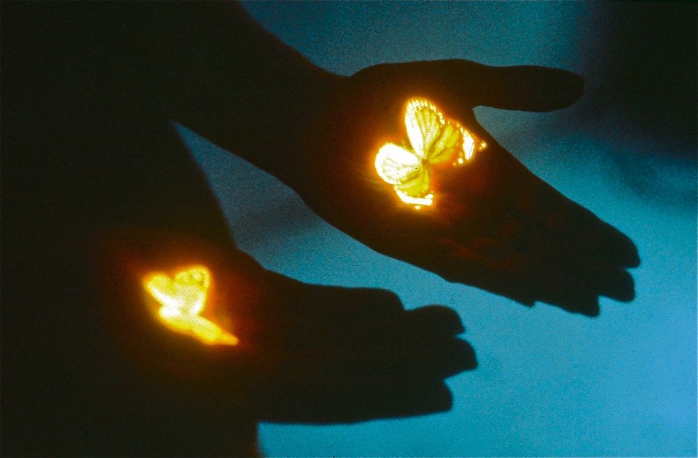 Bertrand Gadenne, Les Papillons, 1998, projection aérienne d'une diapositive (image à recueillir dans la paume de main). Collection Frac Occitanie Montpellier