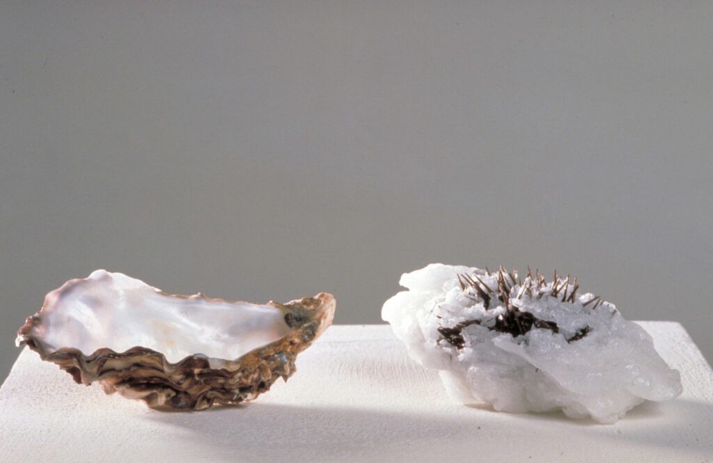 Anne Pesce, L’huître dont la forme affecte le palais dont la langue épouse les spasmes, 1991, huître, paraffine, oursin et pierre, 9 x 31,5 x 17 cm - Collection Frac Occitanie Montpellier. Photo Jean-Luc Fournier