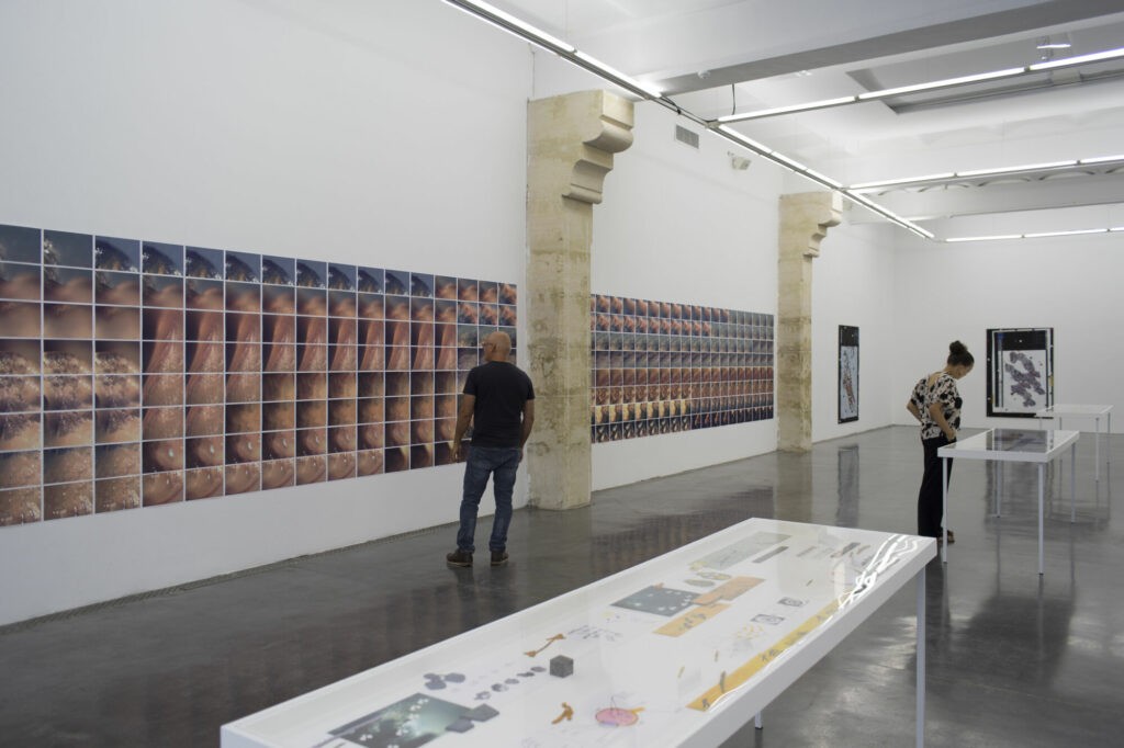 Ran Zhang, Jiggly Motions / Gigues moléculaires, Frac Occitanie Montpellier, été 2022. Photo © Cédrick Eymenier