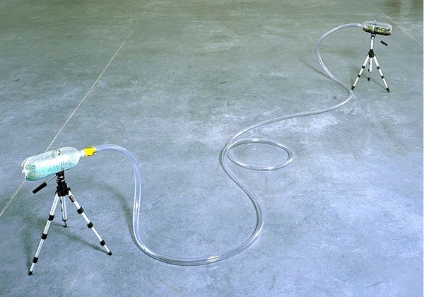 Henrik Hakansson, True Love (Drosophila Melanogaster/Dionaea Muscipula), 1997 - Collection Frac Occitanie Montpellier