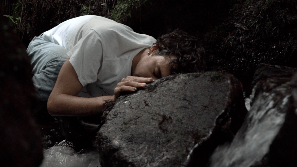 Laura Molton, Remonter les rivières, installation vidéo, 60 min, 2024 - Collection Frac Occitanie Montpellier. Photo Vincent Boutin