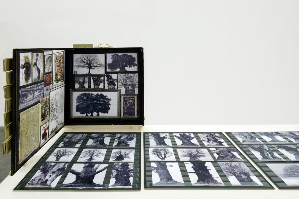 Patrick Van Caeckenbergh, Arboretum, 2013, œuvre en 3 dimensions (boîte en bois, 7 planches à timbres, collages, piédestal et planches de bois), dimensions variables - Collection Frac Occitanie Montpellier. Photo Pierre Schwartz. © Adagp, Paris 2025